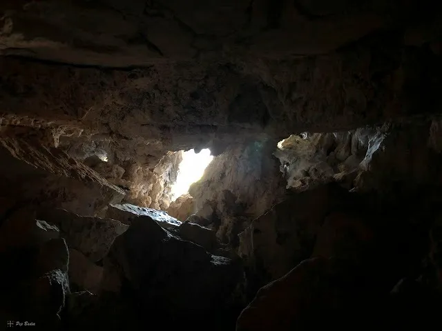 Fotografía de PALLERET, COVA DEL (2 de 3)