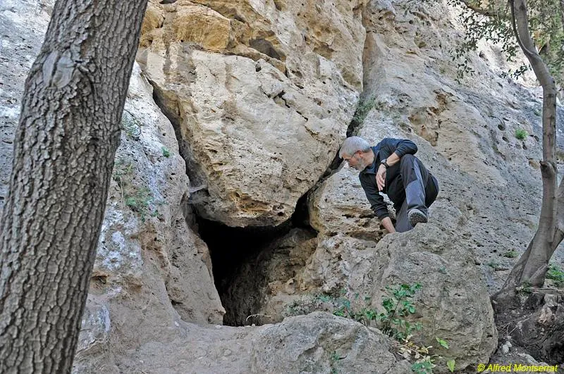 Photographie de RUBRICATA, COVA (2 sur 2)