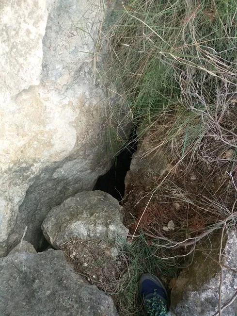 Fotografia de CUNETA, COVES DE LA (2 de 4)