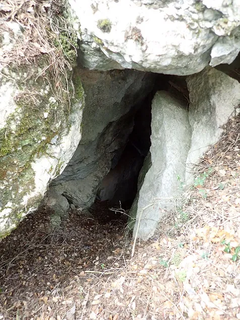 Fotografia de TOSSAL DE CANTACORBS, COVA (1 de 5)