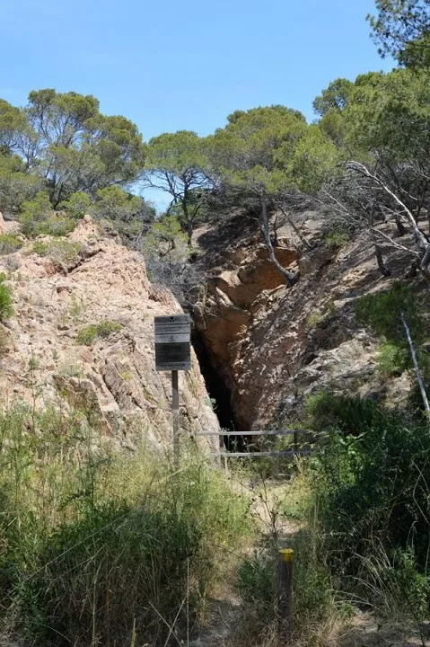 Fotografia de RONCADORA, SA (1 de 4)