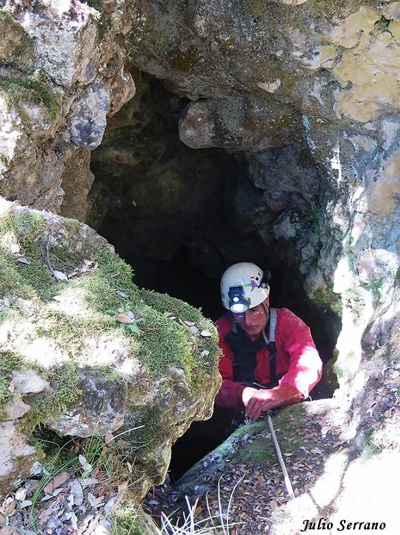 Fotografia de COSTA D'ALZINA, GRALLER DE (2 de 11)