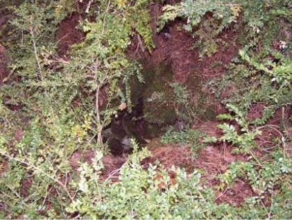 Fotografía de CHUSA, FORAT DE (1 de 1)