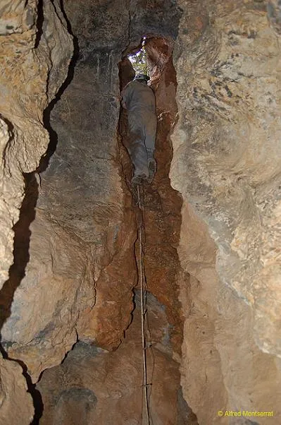 Photographie de CARRADON, COVA DE (4 sur 9)