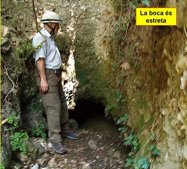 Photographie de FONT CALENTA, COVA DE LA (3 sur 6)