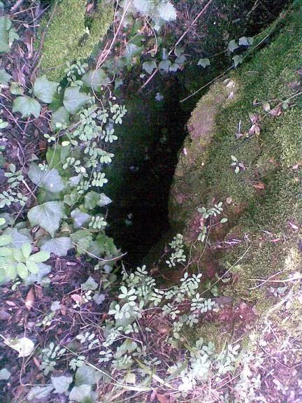 Fotografia de FONT FREDA, AVENC DE LA (2 de 2)