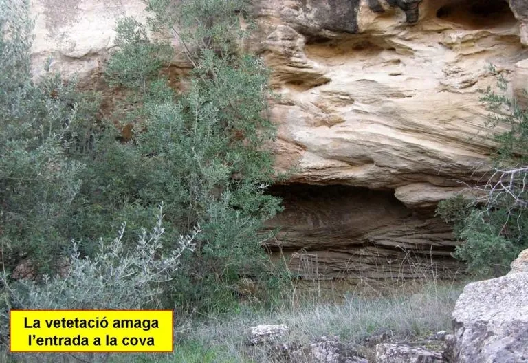 Fotografia de XINTES, COVA DE LES (1 de 4)