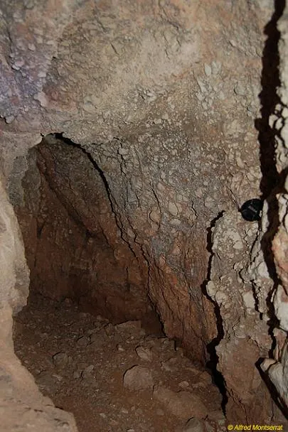 Photograph of LLIMBS, CAU DELS (2 of 6)