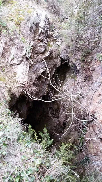 Fotografía de SOT D'ÓSSOS, AVENC DEL (1 de 1)