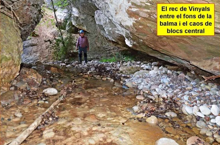 Photographie de MOLOSA, BALMA (5 sur 6)