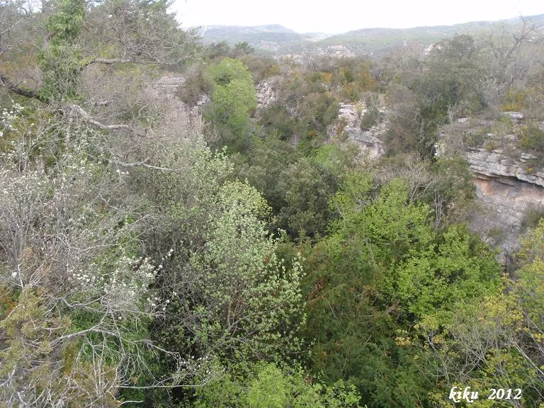 Fotografia de MOTLLATS DE LA PONA, AVENCOTS DELS (1 de 6)