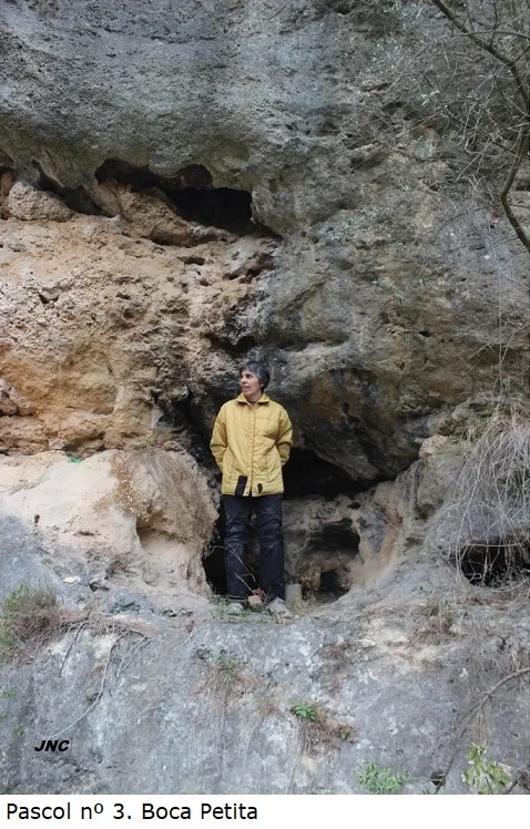 Fotografía de PASCOL, COVES DEL (8 de 10)