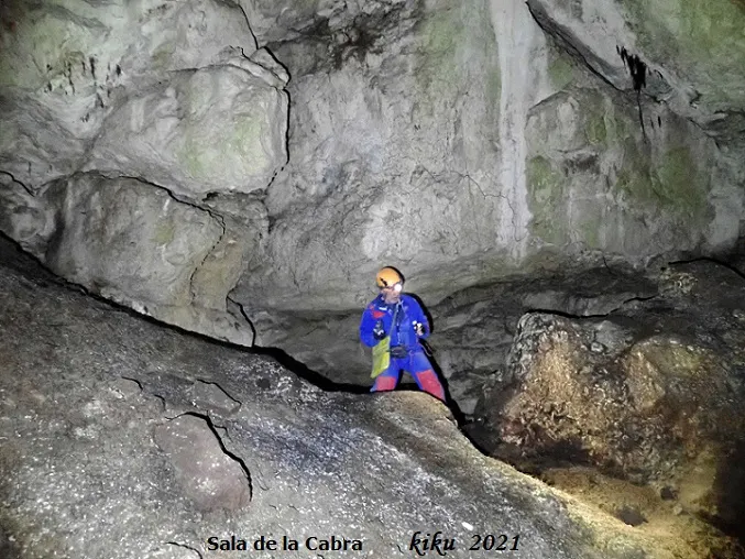 Fotografia de PEIXET, COVA D'EN (14 de 35)