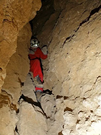 Photograph of MAMUT, COVES DEL (5 of 8)