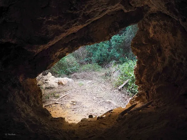 Fotografía de RACÓ DEL MELO, COVA DEL (2 de 2)