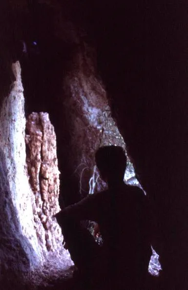 Photograph of ESQUIROL, COVA DE L' (7 of 7)