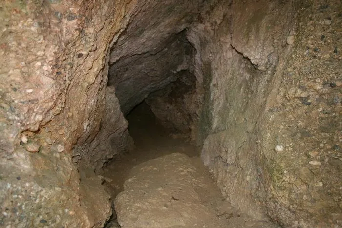 Fotografía de XALOC, COVA (1 de 1)