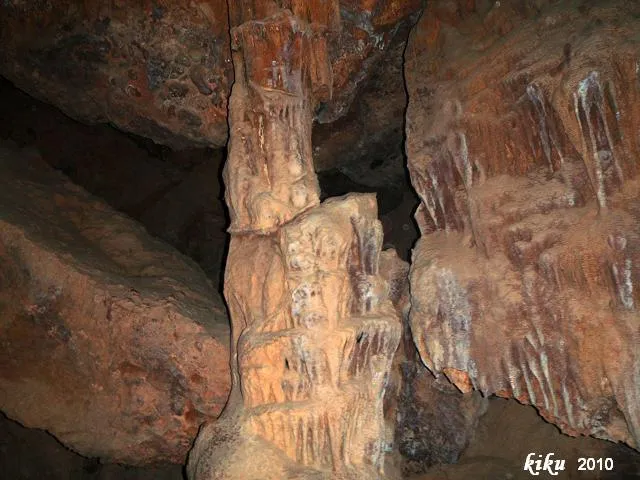 Photographie de FREDA, COVA (7 sur 8)