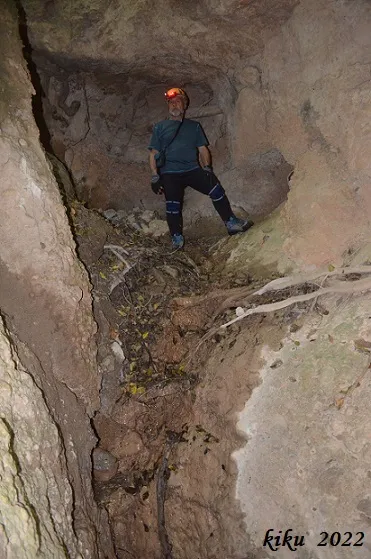 Photographie de FONT DELS CAPELLANS, COVA DE LA (4 sur 6)