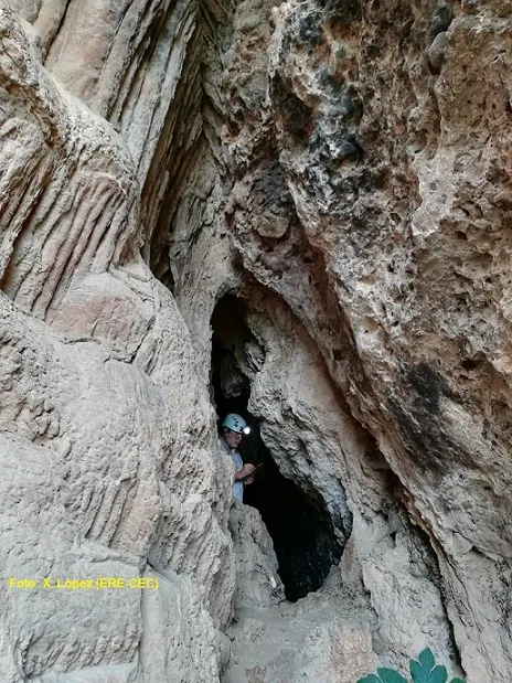 Fotografía de SALNITRE, COVA C.3 DEL (3 de 5)