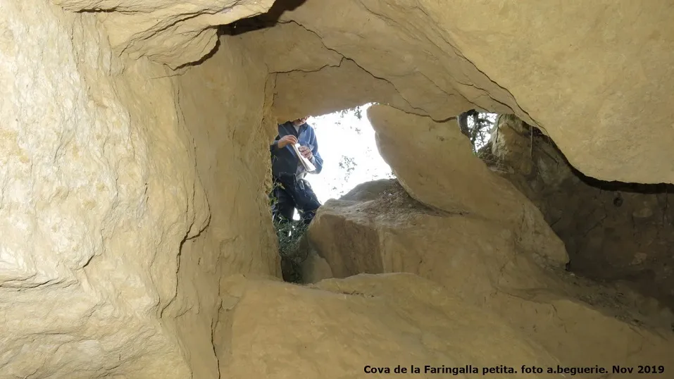 Photograph of FARINGALLA, COVA PETITA DE LA (2 of 4)