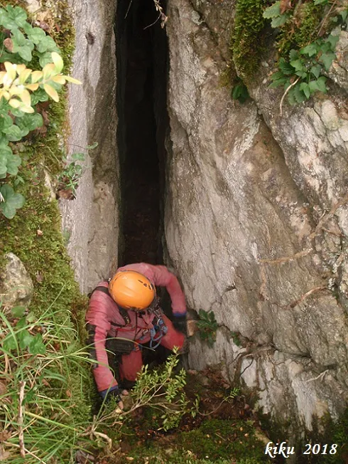 Photograph of PARDINA, GRALLER Nº3 DE LA (3 of 6)