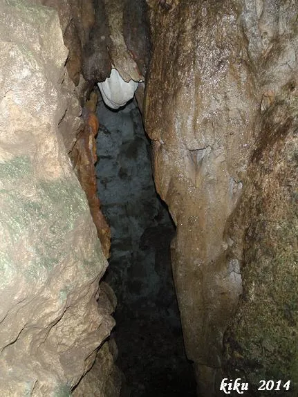 Fotografía de ALSAMORA, GRALLERA PETITA D' (4 de 6)