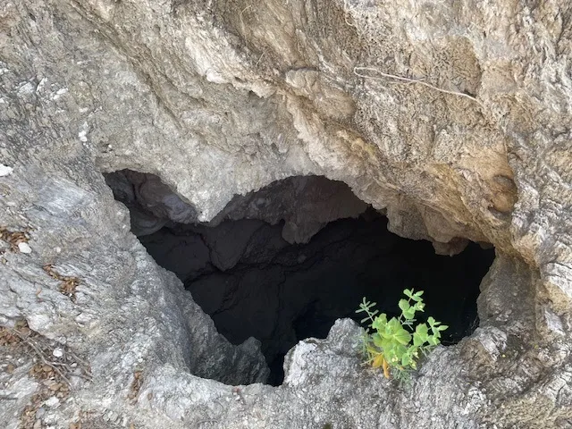 Fotografía de MICÓ, FORAT (1 de 9)
