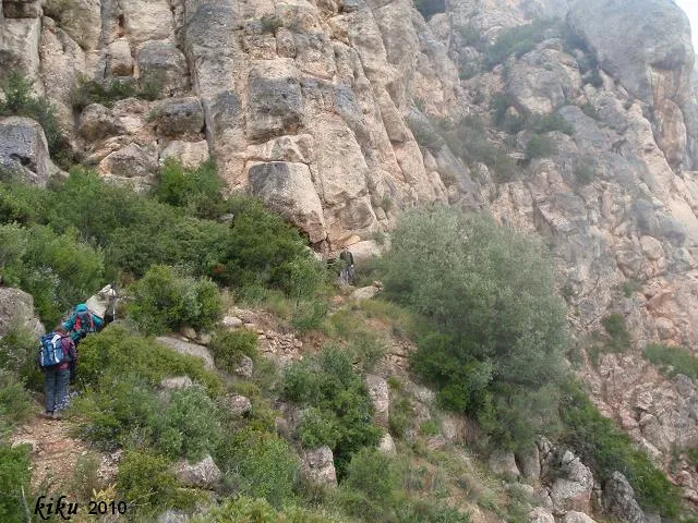 Photographie de FREDA, COVA (1 sur 8)
