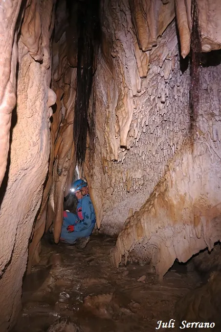 Fotografia de MAS D'EN TONI, COVA-AVENC DEL (7 de 12)