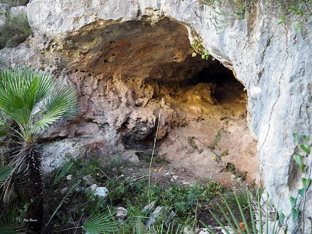 Fotografia de BASSIOL, COVA DEL (2 de 6)