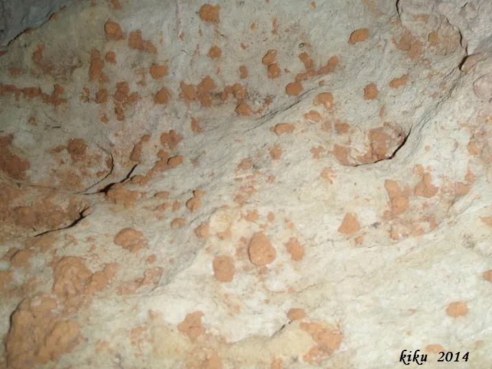Fotografia de PG-2, COVA (3 de 5)