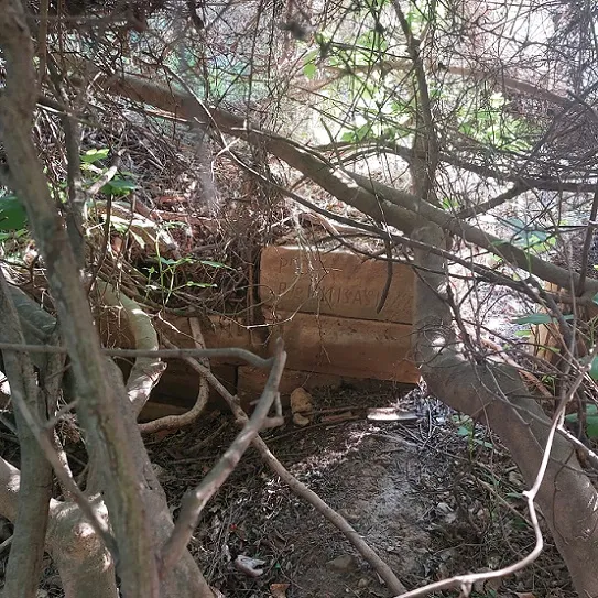 Fotografia de ULLALS DE LA CARROVA, COVA DELS (1 de 6)