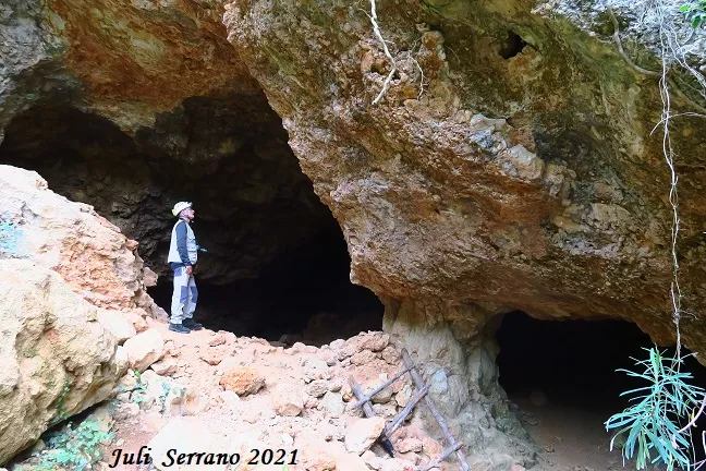 Fotografía de XAMPINYONS, COVA DELS (1 de 7)