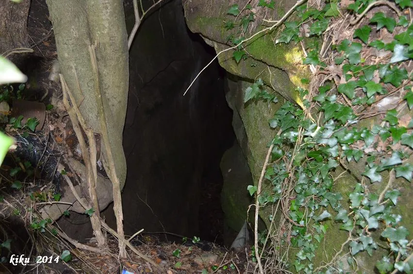 Photographie de FAR, FORAT DEL (2 sur 2)