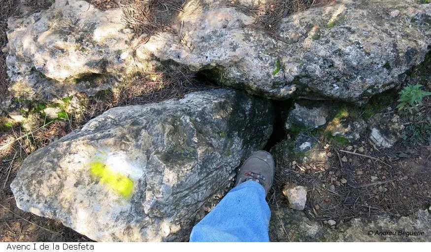 Fotografia de DESFETA, AVENCS DE LA (1 de 5)