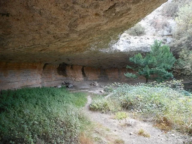 Fotografía de TEIX, COVA DEL (1 de 1)