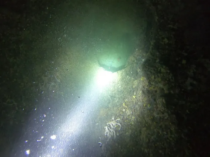 Fotografía de PUNTA GROSSA, COVA SUBMARINA DE LA (3 de 5)