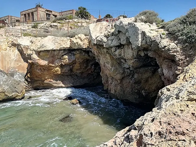 Fotografía de SAVINOSA, COVA DE LA (1 de 7)