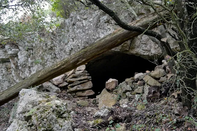 Fotografia de PIGOTOSA, COVA (1 de 4)
