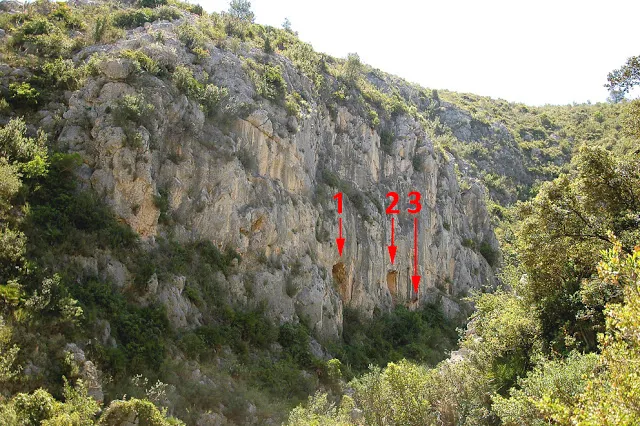 Fotografia de DUC, COVA Nº2 DEL (1 de 2)