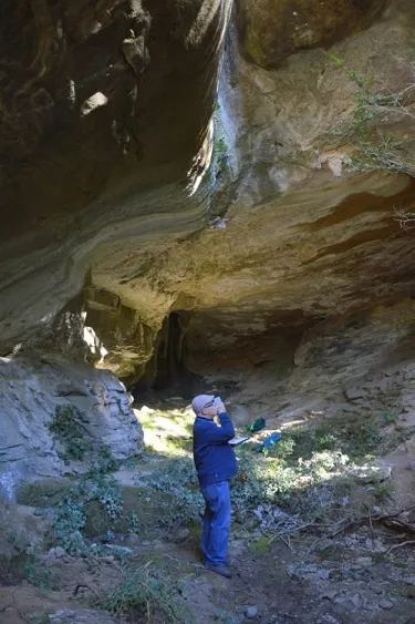 Photograph of BACONERES, CAVORCA 2 DE LES (3 of 3)