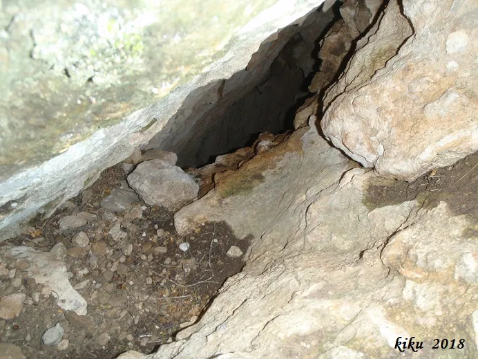 Photograph of PRIMERS, AVENC DELS (3 of 3)