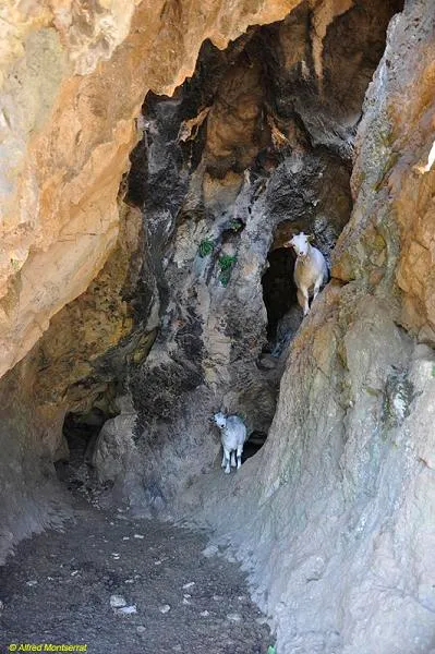 Fotografia de FRESCA, COVA (2 de 3)