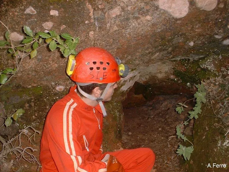 Fotografía de TOIXONS, COVA DELS (1 de 8)