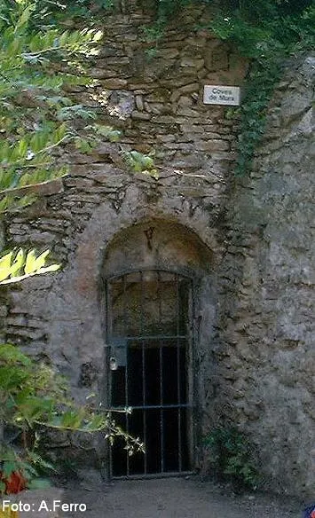 Fotografia de MURA, COVES DE (1 de 10)