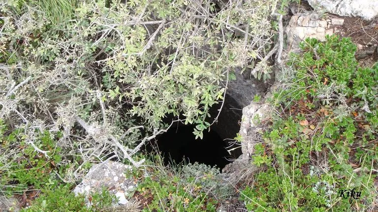 Fotografía de CELLER DEL FUSTER, COVA AVENC DEL (3 de 4)