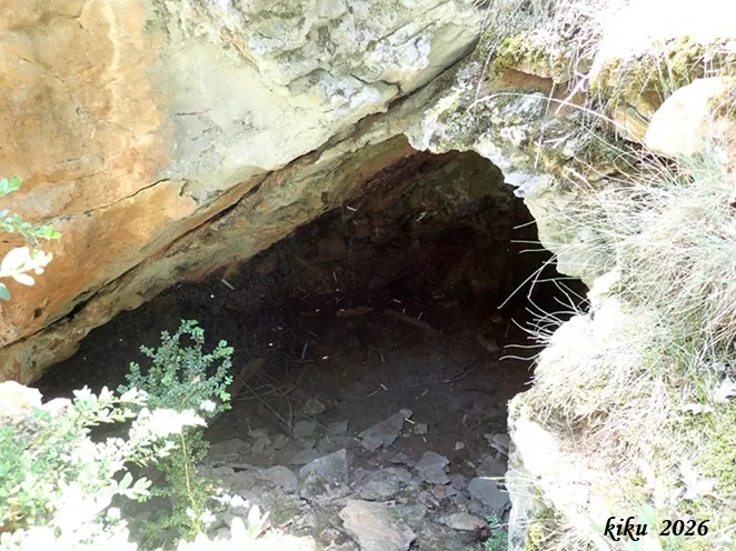 Photograph of MOSQUITS, COVA DELS (2 of 6)