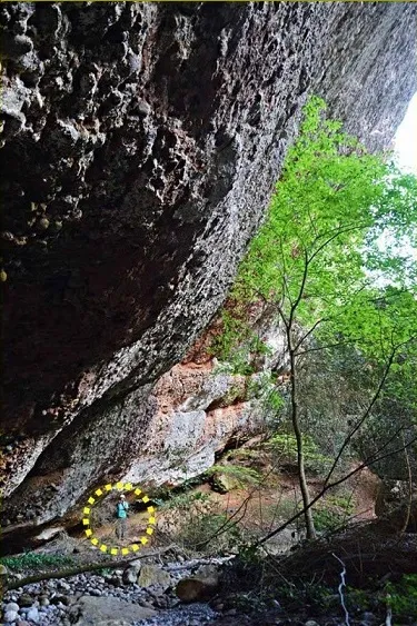 Photographie de MOLOSA, BALMA (1 sur 6)
