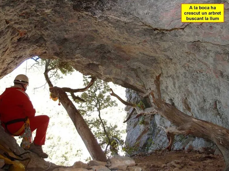 Fotografia de PENJADA DEL TORRENT D'ESPINAU, COVA (2 de 4)